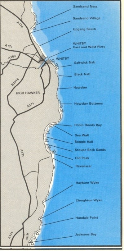 north shore marks
