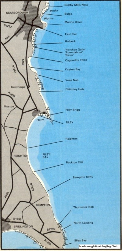 south shore marks